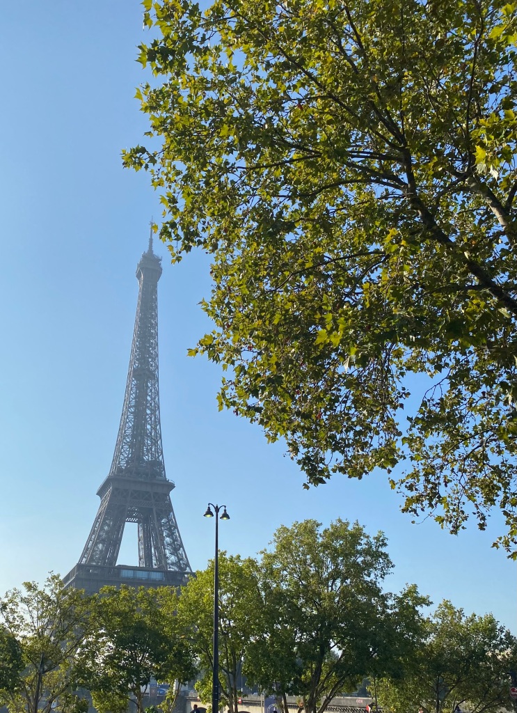The view from the Trocadero Steps